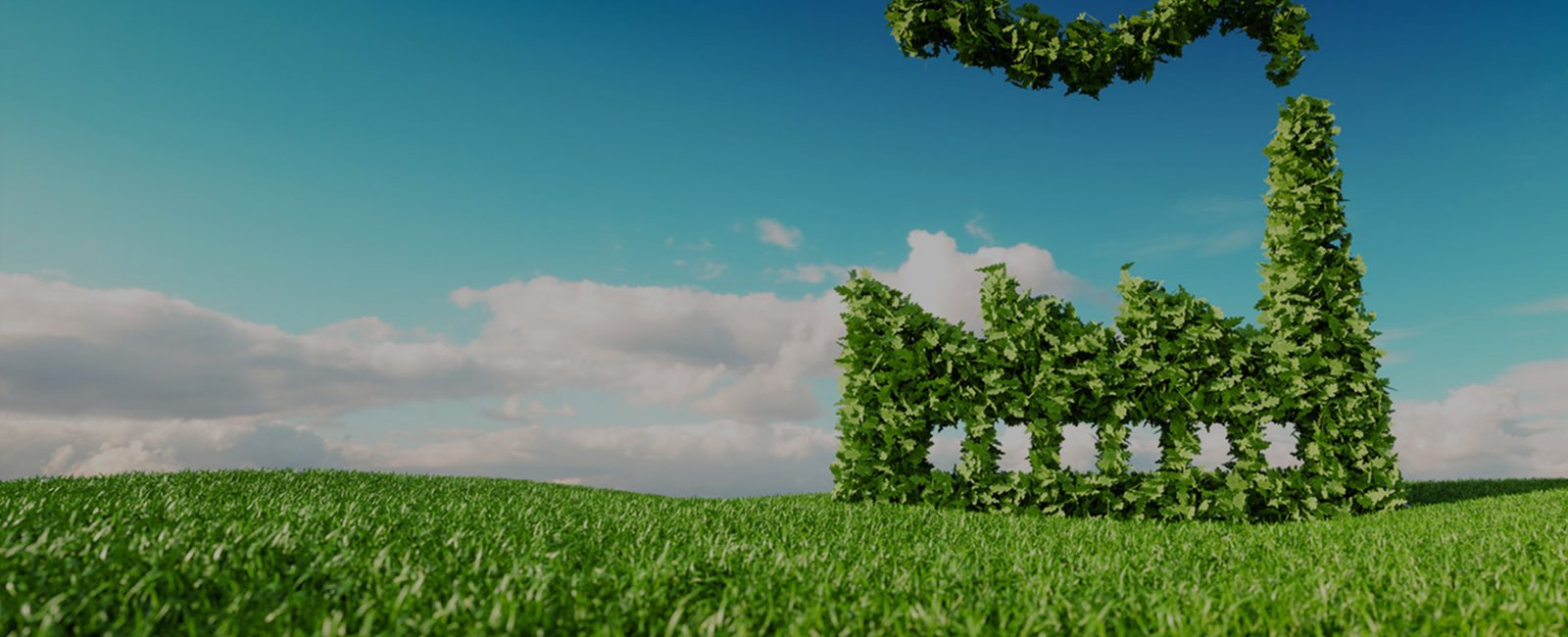 Sustainable engineering — green infrastructure concept